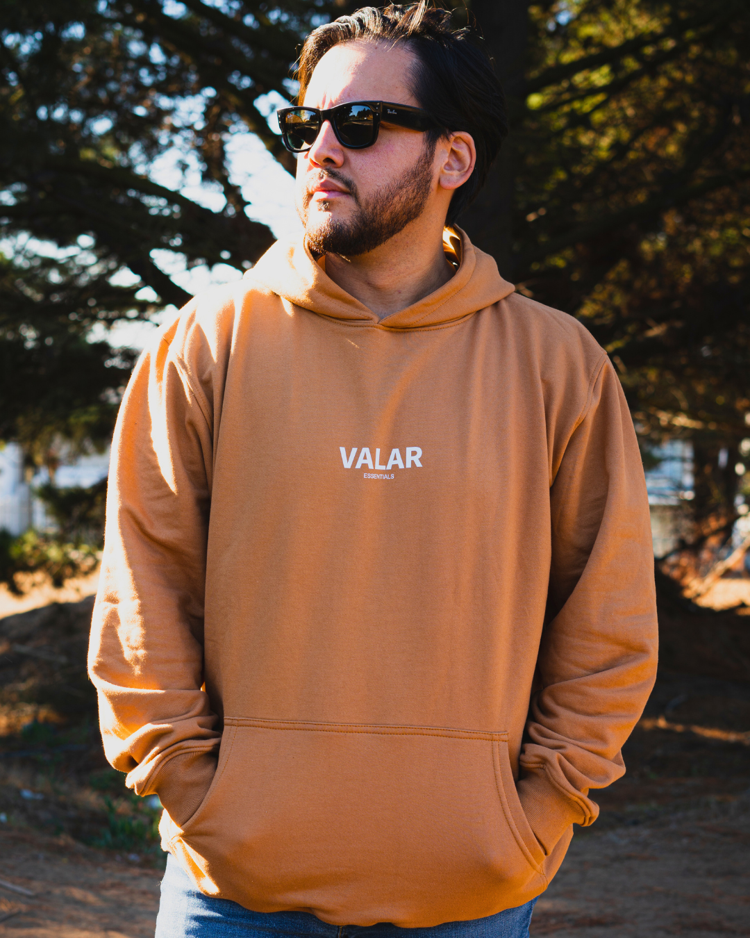HOODIE VALAR CLASSIC UNISEX